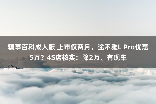 糗事百科成人版 上市仅两月，途不雅L Pro优惠5万？4S店核实：降2万、有现车