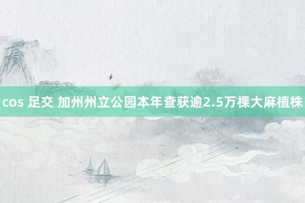cos 足交 加州州立公园本年查获逾2.5万棵大麻植株