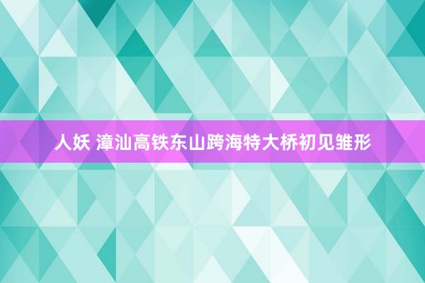 人妖 漳汕高铁东山跨海特大桥初见雏形