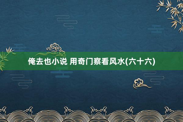 俺去也小说 用奇门察看风水(六十六)